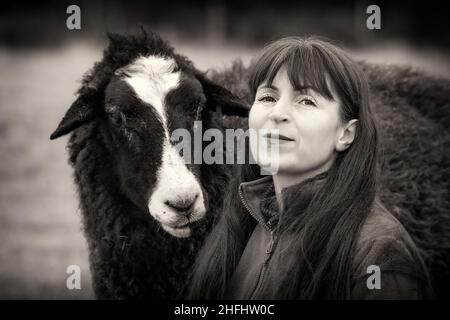 La pastorella Vegan. Immagini di una donna nel nord della Scozia che si prende cura di un piccolo gregge di pecore, molte delle quali hanno problemi di età e salute. Foto Stock