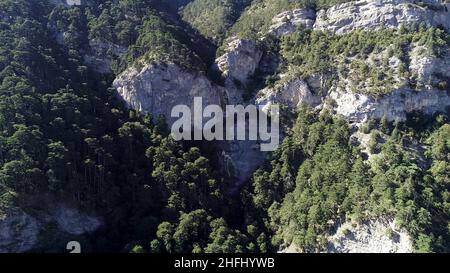 Macchina fotografica che si allontana dal pendio boscoso con rocce in una giornata estiva soleggiata. Antenna di molti alberi di abete verde che crescono su un ripido pendio di montagna, beau Foto Stock