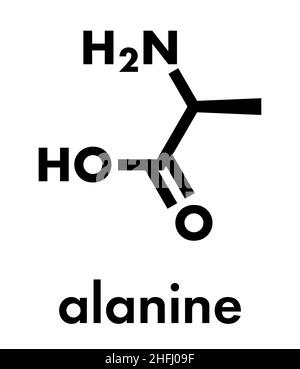 Alanina (L-alanina, Ala, A) molecola di amminoacido. Formula scheletrica. Illustrazione Vettoriale