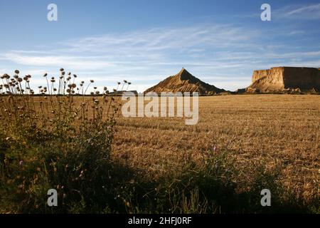 Spagna, Provincia di Navarra, Bardenas Reales, deserto di Bardenas Foto Stock
