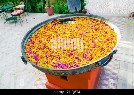 germogli di fiori tropicali galleggianti in un bacino per l'armonia Foto Stock