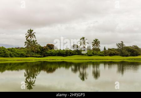 Vista panoramica di un laghetto con riflessi nella città di Nawiliwili sull'isola di Kauai, Hawaii Foto Stock