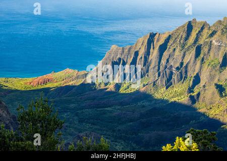 Vista della Costa di Na Pali dal Kalalau Lookout al Kokee state Park sull'Isola di Kauai, Hawaii Foto Stock