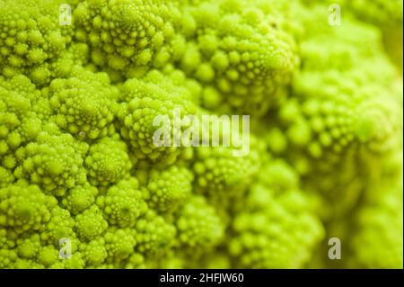 Romanesco cavolfiore o broccoli in primo piano Foto Stock