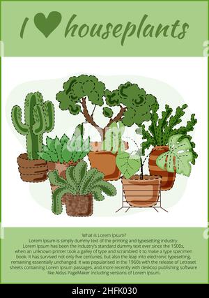 Set di varie piante domestiche vettoriali in pentole. Vettoriale in stile piatto. Ideale per riviste di giardinaggio, siti web di negozi di fiori, o newsletter. Quotidiano messag Illustrazione Vettoriale