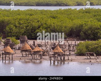 Granai su un'isola conchiglia tra alberi di mangrovie, Joal-Fadiouth, Senegal Africa Foto Stock