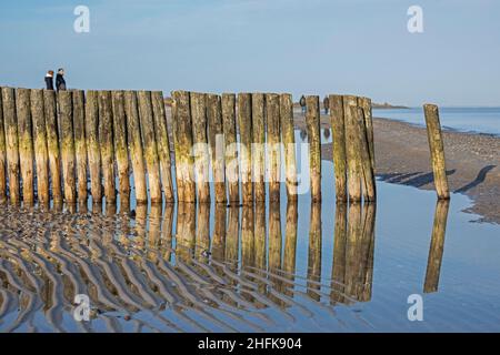 groyne sulla spiaggia, Falshöft, Gelting Bay, Schleswig-Holstein, Germania Foto Stock