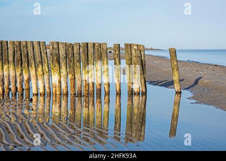 groyne sulla spiaggia, Falshöft, Gelting Bay, Schleswig-Holstein, Germania Foto Stock