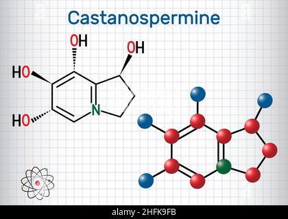 Molecola alcaloide di Castanospermina indolizidina. Foglio di carta in gabbia. Formula chimica strutturale e modello molecolare Illustrazione Vettoriale