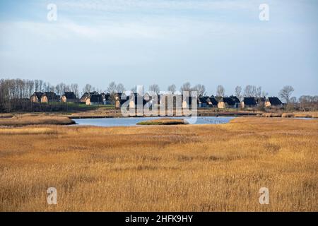 Holiday Village Reetdorf Geltinger Birk, Gelting Birk Nature Reserve, Gelting Bay, Schleswig-Holstein, Germania Foto Stock