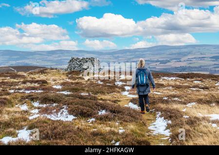 Un escursionista si avvicina al cairn di Lord Arthur sulla collina di Lord Arthur nelle colline di Correen vicino ad Alford, Aberdeenshire, Scozia Foto Stock