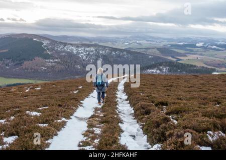 Un escursionista scende nella collina di Lord Arthur nelle colline di Correen vicino ad Alford, Aberdeenshire, Scozia Foto Stock