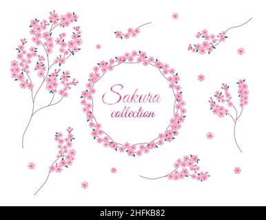 Sakura fiori rami isolato set. Collezione vettoriale di Sakura Blossom. Design di elementi floreali e cornice rotonda su sfondo bianco. Illustrazione Vettoriale