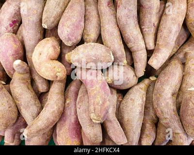 vista dall'alto delle patate dolci sul ripiano del supermercato. Foto Stock