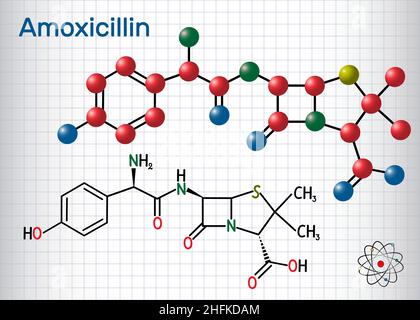 Molecola di farmaco di amoxicillina. È antibiotico beta-lattamico. Formula chimica strutturale e modello molecolare. Foglio di carta in una gabbia.immagine vettoriale Illustrazione Vettoriale