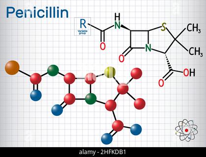 Formula generale della molecola di penicillina (PCN). Si tratta di un gruppo di antibiotici. Foglio di carta in gabbia. Formula chimica strutturale e modello molecolare. Illustrazione Vettoriale