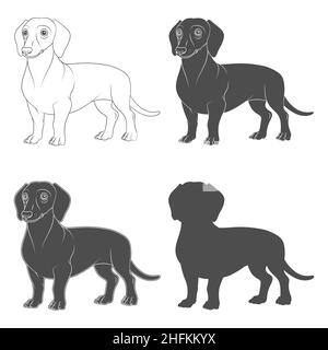 Set di illustrazioni in bianco e nero con l'immagine di un cane dachshund. Oggetti vettoriali isolati su sfondo bianco. Illustrazione Vettoriale