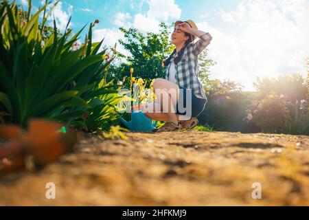 Estate. Una giovane donna caucasica siede in giardino, strofinando il sudore dalla fronte. Stagione di giardinaggio. Spazio di copia. Foto Stock