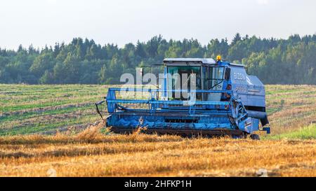 La mietitrebbiatrice ritorna dal lavoro sul campo in una serata libera. Luce solare e campi raccolti. Paesaggio rurale. Foto Stock
