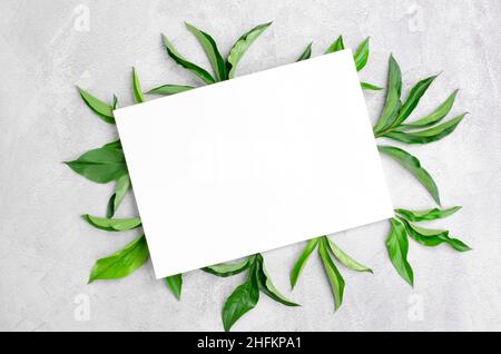 Vista dall'alto di un foglio bianco di carta e foglie di peonia su sfondo di cemento grigio chiaro. Foglio vuoto con spazio per il testo Foto Stock