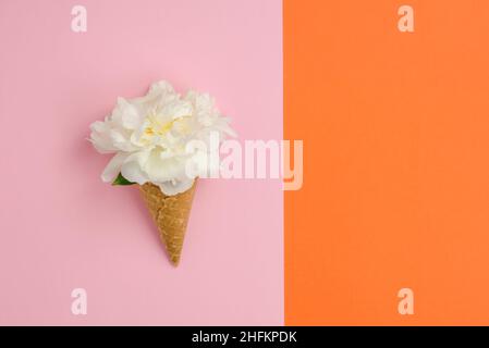 Fiore di peonia bianco in una tazza di gelato waffle su uno sfondo rosa con posto per il testo. Concetto estivo Foto Stock