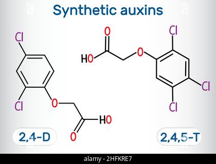 Molecola di acido 2,4-diclorofenossiacetico (2,4-D) e 2,4,5-triclorofenossiacetico (2,4,5-T). Auxina sintetica Formula chimica strutturale e molecola Illustrazione Vettoriale