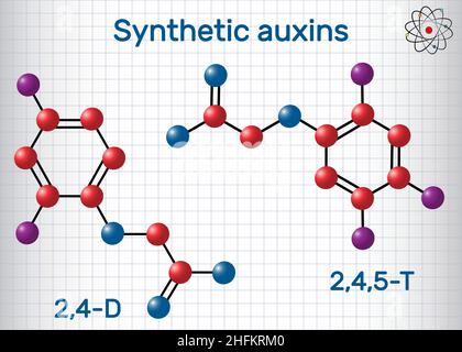 Molecola di acido 2,4-diclorofenossiacetico (2,4-D) e 2,4,5-triclorofenossiacetico (2,4,5-T). Auxina sintetica Modello di molecola. Foglio di carta in un cag Illustrazione Vettoriale