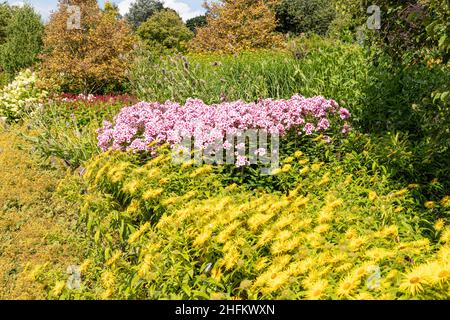 Una mostra di fiori estivi misti al Golden Acre Park, Leeds, West Yorkshire Regno Unito Foto Stock