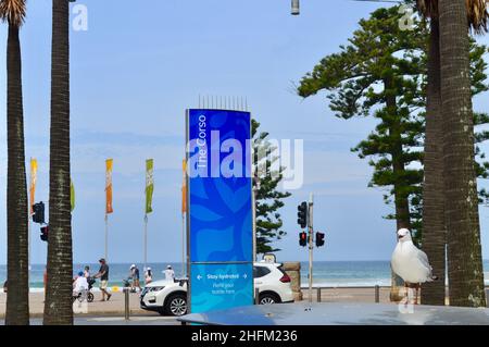 Una vista dal corso nel sobborgo marittimo di Sydney di Manly, NSW Foto Stock