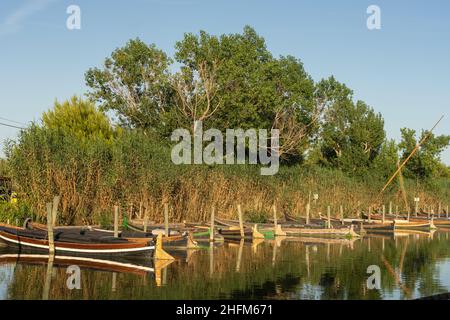 Catarroja porto tradizionale barche (molo) a Valencia Albufera al tramonto Foto Stock