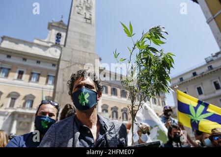 Cecilia Fabiano/LaPresse Giugno 25 , 2020 Roma (Italia) Notizie dimostrazione per la legalizzazione della coltivazione della marijuana nella foto : Riccardo Magi Foto Stock