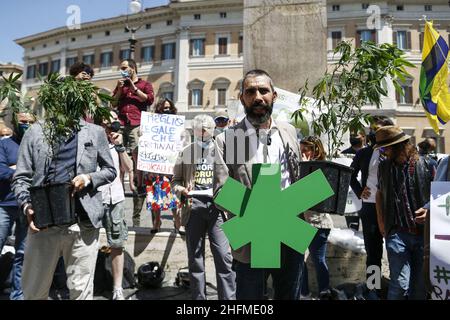 Cecilia Fabiano/LaPresse Giugno 25 , 2020 Roma (Italia) Notizie dimostrazione per la legalizzazione della coltivazione della marijuana nella foto : Matteo Mantero Foto Stock