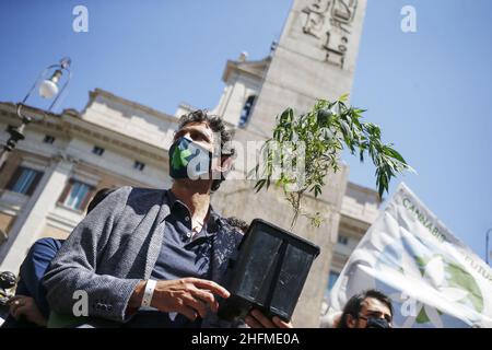 Cecilia Fabiano/LaPresse Giugno 25 , 2020 Roma (Italia) Notizie dimostrazione per la legalizzazione della coltivazione della marijuana nella foto : Riccardo Magi Foto Stock