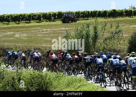 LaPresse - Fabio Ferrari Agosto, 05 2020 Milano (Italia) Sport Cycling 101 Edizione Milano Torino 2020 - da Milano a Torino - 198 km nella foto: Durante la gara. Foto Stock