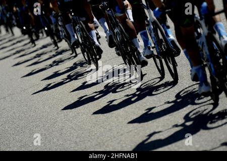 LaPresse - Fabio Ferrari Agosto, 05 2020 Milano (Italia) Sport Cycling 101 Edizione Milano Torino 2020 - da Milano a Torino - 198 km nella foto: Durante la gara. Foto Stock