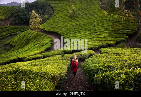 Yoga garudasana aquila posa da donna sana in costume rosso sulle piantagioni di tè in Munnar colline, Kerala, India Foto Stock