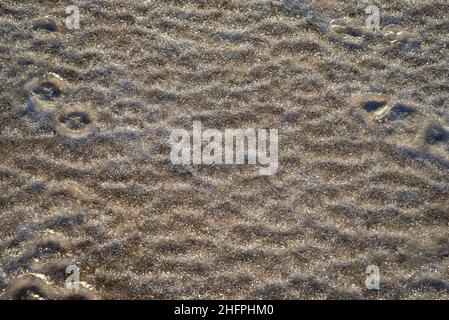 Vista dall'alto della sabbia ghiacciata di dune di mare in una giornata di sole Foto Stock