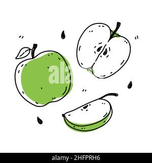 Set di mele verdi isolate su sfondo bianco. Cibo sano biologico. Illustrazione vettoriale disegnata a mano in stile doodle. Perfetto per carte, logo, decorazioni, disegni vari. Illustrazione Vettoriale
