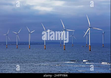 La fattoria eolico offshore di Teesside a Redcar nel nord-est dell'Inghilterra. Fotografia: Stuart Boulton. Foto Stock