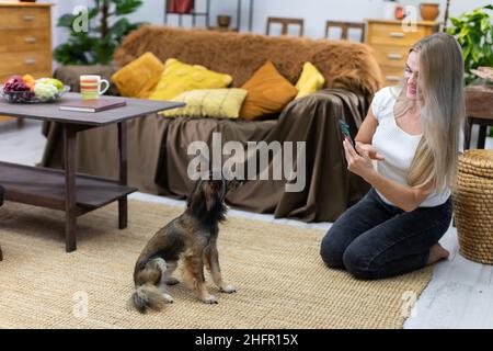 Un cane si siede sul tappeto e una ragazza ne scatta foto con il suo smartphone. Cane di razza multipla. Foto Stock