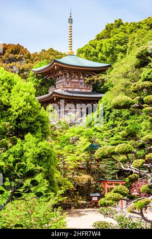 Il tempio storico importante e popolare di Suma-dera in Giappone. La pagoda di legno seduta mezzo nascosto in alberi in primavera sotto un cielo blu. Foto Stock