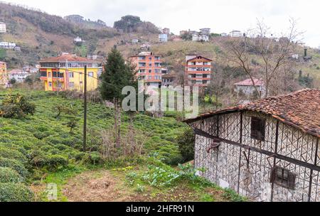 Paesaggio rurale della città di Surmene, Trabzon, Turchia. Vecchie case viventi e piantagioni di tè sono sulla costa del Mar Nero in un giorno Foto Stock