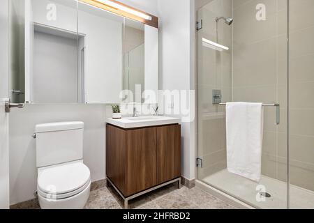 Bagno attico di lusso con lavandino in legno e doccia con porta in vetro. Elegante suite dell'hotel. Design moderno e contemporaneo. Foto Stock