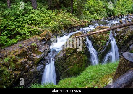 Le Cascate del Sol Duc nella Valle del Sol Duc sono chiamate le cascate più belle del Parco Nazionale Olimpico e si trovano a pochi chilometri dalle sorgenti termali calde del Sol Duc R. Foto Stock