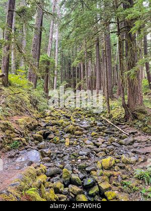 Le Cascate del Sol Duc nella Valle del Sol Duc sono chiamate le cascate più belle del Parco Nazionale Olimpico e si trovano a pochi chilometri dalle sorgenti termali calde del Sol Duc R. Foto Stock