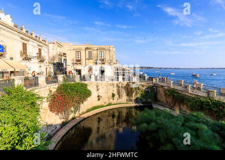 Aretusa Primavera, Ortigia, Siracusa, Sicilia Foto Stock