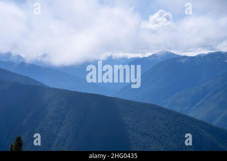 L'Hurricane Ridge è un'area montuosa del Parco Nazionale Olimpico di Washington. A circa 18 km (29 miglia) di strada da Port Angeles, il crinale è op Foto Stock