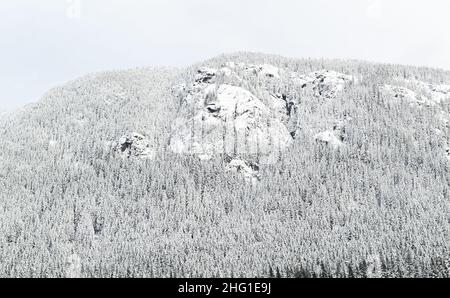 Vista sul paesaggio di una montagna invernale con alberi di abete rosso. Una montagna rocciosa innevata coperta di alberi di pino durante l'inverno in Canada. Foto di viaggio, nessuno, Foto Stock