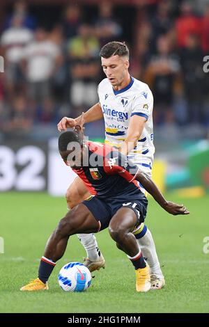 Foto Tano Pecoraro/LaPresse 25 Settembre 2021 - Genova, Italia Sport, Calcio Genova vs Hellas Verona - campione italiano di calcio Serie A TIM 2021/2022 - Stadio Luigi Ferraris nella foto: kallon Photo Tano Pecoraro/LaPresse 25 settembre 2021 - Genova, Italia Sport, Calcio Genova vs Hellas Verona - Campionato Italiano Serie A 2021/2022 - Stadio Luigi Ferraris nella foto: kallon Foto Stock