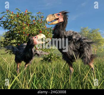 Un'illustrazione di due Gastornis maschi in una zona umida. I Gastornis sono un genere estinto di grandi uccelli flightless che vissero durante il tardo Paleocene. Foto Stock